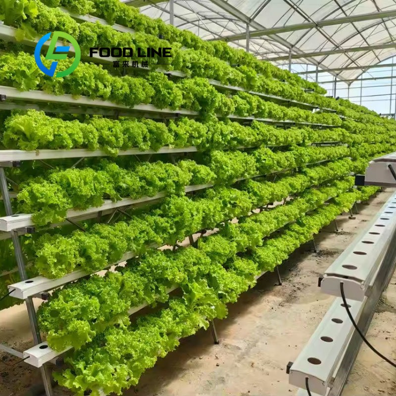 Smart Hydroponics 20Ft/40Ft Sh - огляд і ціна Hydroponic Tower
