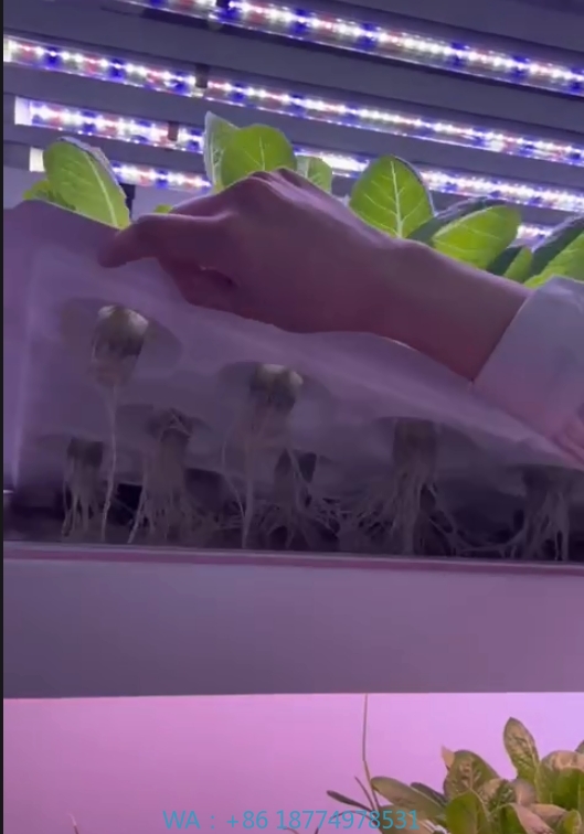 f Greenhouse Agricultural Equi - огляд і ціна Hydroponic Tower