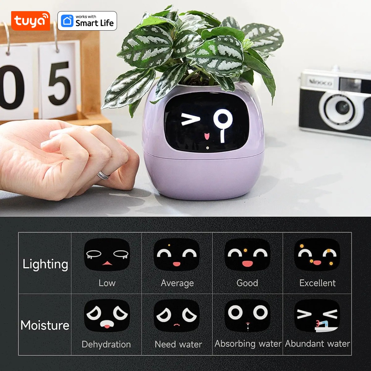 pink Tuya Ivy Smart Planter,En - огляд і ціна Smart Pot