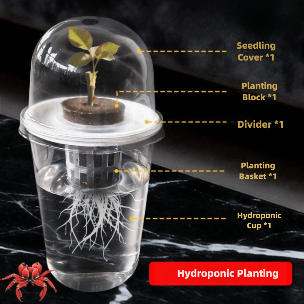 1-5pc Visible Clear Plants Ger - огляд і ціна Hydroponic Grow Pod