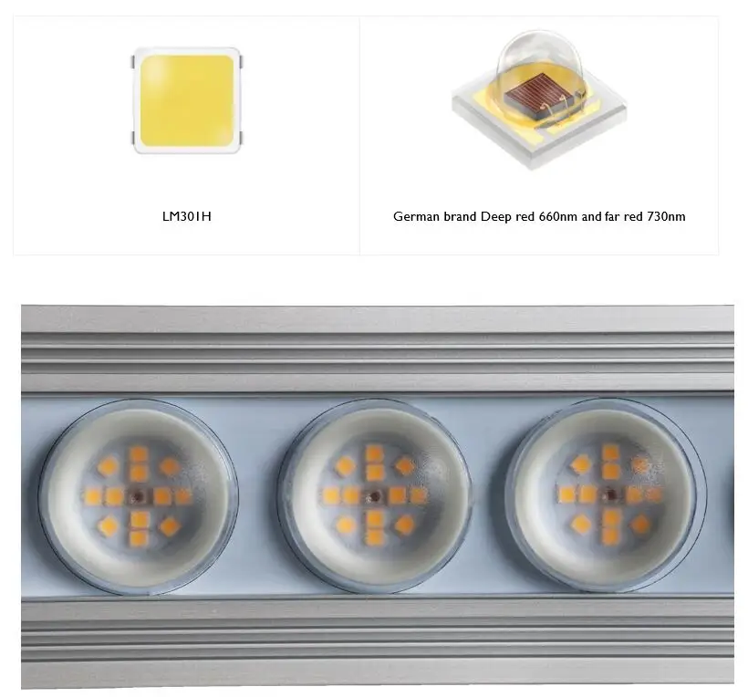 Koray 900W Indoor full spectru - огляд і ціна Grow Light Led